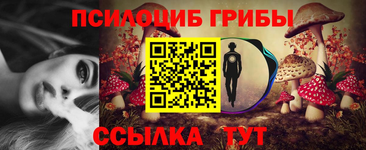 Псилоцибиновые грибы Cubensis Грязи