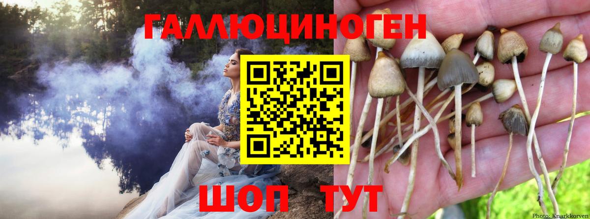 Галлюциногенные грибы MAGIC MUSHROOMS  Вход с VPN  Грязи 