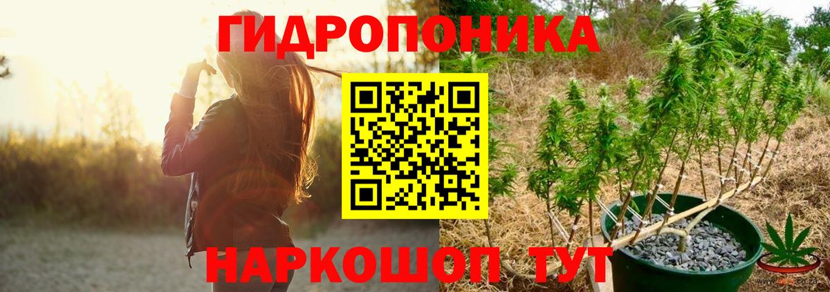 Грязи  Марихуана семена  Вход с VPN  Каннабис MAZAR 